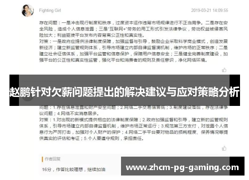 赵鹏针对欠薪问题提出的解决建议与应对策略分析