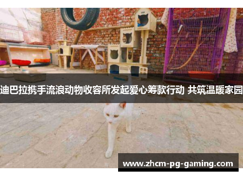 迪巴拉携手流浪动物收容所发起爱心筹款行动 共筑温暖家园