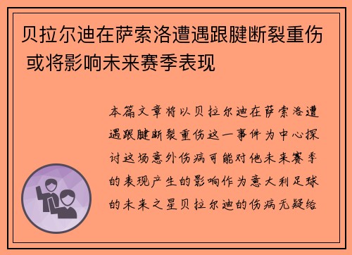 贝拉尔迪在萨索洛遭遇跟腱断裂重伤 或将影响未来赛季表现