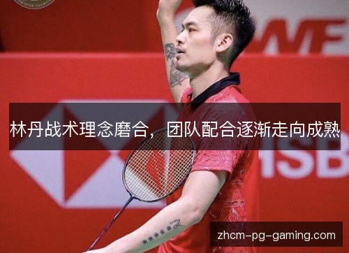 林丹战术理念磨合，团队配合逐渐走向成熟